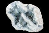 Celestine (Celestite) Geode ( Lbs) - Large Crystals! #106691-1